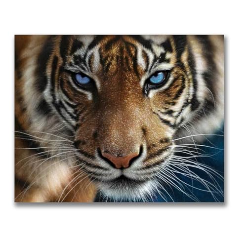 Homorro Malen Nach Zahlen Erwachsene Bastelset DIY Set Dekoration 50×40cm Paint by Numbers Basteln Tiere Kreatives Ölgemälde Teenager Geschenke Für Frauen Geburtstagsgeschenk Geschenkideen Geschenk Homorro Malen Nach Zahlen Erwachsene Bastelset DIY Set Dekoration 50×40cm Paint by Numbers Basteln Tiere Kreatives Ölgemälde Teenager Geschenke Für Frauen Geburtstagsgeschenk Geschenkideen Geschenk von Homorro