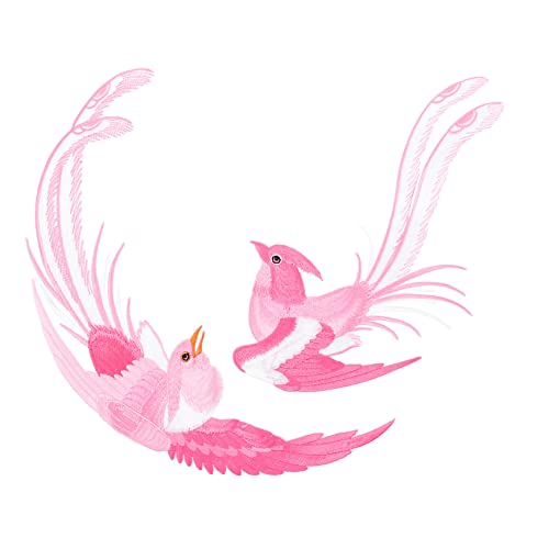 Homoyoyo 1 Paar Vogel Bügeleisen Patches Symmetrische Stickereien für Kleidung zum Aufbügeln oder Nähen für Kleider Schals Tischdecken und Mehr von Homoyoyo