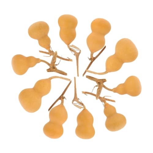 Homoyoyo 10 STK. Teiliges Natürliche Mini Kürbis Dekoration Leichte Gourd Ornamente für Zuhause Büro Shop Vielseitige Tischdeko mit Symbolischem Charme und Individuellem Stil Homoyoyo 10 STK. Teiliges Natürliche Mini Kürbis Dekoration Leichte Gourd Ornamente für Zuhause Büro Shop Vielseitige Tischdeko mit Symbolischem Charme und Individuellem Stil von Homoyoyo