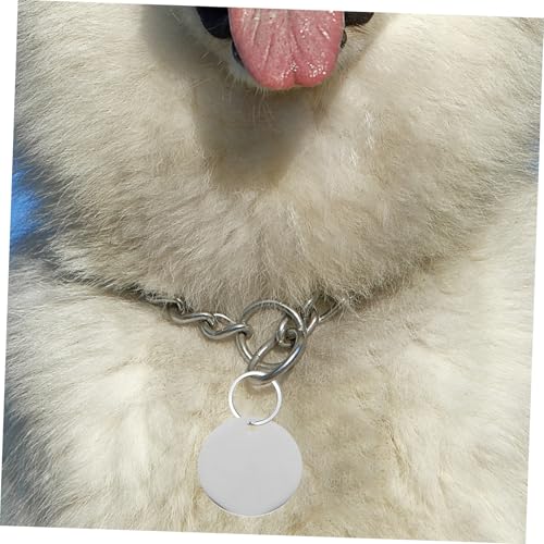 Homoyoyo 10 Stück Edelstahl Hundemarken Runde Blank Metall Anhänger zum Gravieren für Haustier Namensschild Halsbandanhänger DIY Schmuck Zubehör Homoyoyo 10 Stück Edelstahl Hundemarken Runde Blank Metall Anhänger zum Gravieren für Haustier Namensschild Halsbandanhänger DIY Schmuck Zubehör von Homoyoyo