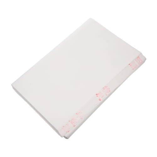 Homoyoyo 100 Stück Xuan Papier Reispapier für Chinesische und Japanische Kalligraphie Sumi Tuschepapier für Pinselmalerei Kalligraphische Übungspapiere für Anfänger und Künstler Homoyoyo 100 Stück Xuan Papier Reispapier für Chinesische und Japanische Kalligraphie Sumi Tuschepapier für Pinselmalerei Kalligraphische Übungspapiere für Anfänger und Künstler von Homoyoyo