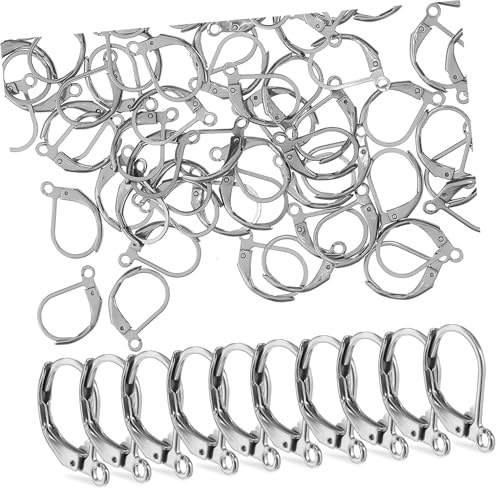 Homoyoyo 100Stücke Dangle Ohrring Haken mit Hebelverschluss DIY Schmuckzubehör für Ohrschmuckgestaltung Bastelprojekte und von Homoyoyo