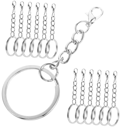 Homoyoyo 100Stücke Metall Schlüsselanhänger Clip Wiederverwendbare Karabiner Schlüsselanhänger mit Kette für DIY Schlüsselanhänger Herstellungsset für Vielseitige Anwendungen Homoyoyo 100Stücke Metall Schlüsselanhänger Clip Wiederverwendbare Karabiner Schlüsselanhänger mit Kette für DIY Schlüsselanhänger Herstellungsset für Vielseitige Anwendungen von Homoyoyo