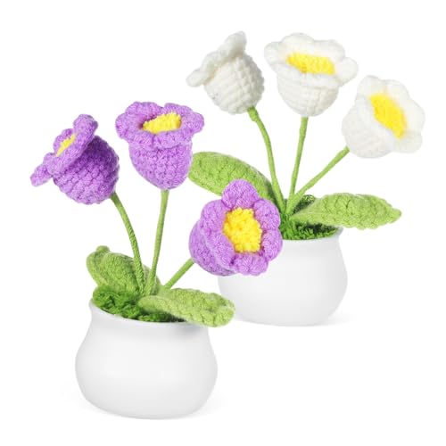 Homoyoyo 2 Stück Handgefertigte Häkelblumen Künstliche Strickblumen für Auto und Tischdekoration Lila und Weißen Designs Pflegeleichtes Bonsai Ornament Stilvolle Innendekoration Homoyoyo 2 Stück Handgefertigte Häkelblumen Künstliche Strickblumen für Auto und Tischdekoration Lila und Weißen Designs Pflegeleichtes Bonsai Ornament Stilvolle Innendekoration von Homoyoyo