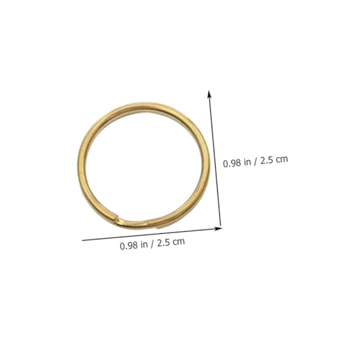 Homoyoyo 200 Stück Retro Schlüsselringe Metall Schlüsselanhänger Robuste Verformungsbeständige Eisenringe für Schlüsselbunde DIY Schmuck Zubehör Farbton Antikgold für Geschenkideen Homoyoyo 200 Stück Retro Schlüsselringe Metall Schlüsselanhänger Robuste Verformungsbeständige Eisenringe für Schlüsselbunde DIY Schmuck Zubehör Farbton Antikgold für Geschenkideen von Homoyoyo