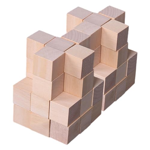 Homoyoyo 250 Stück Kleine Kiefernholzblöcke Holzwürfel bauen Holzblock Kleine Holzquadratblöcke unfertige Holzwürfel Ziegelsteine ​​für Würfel für quadratische Holzblöcke von Homoyoyo