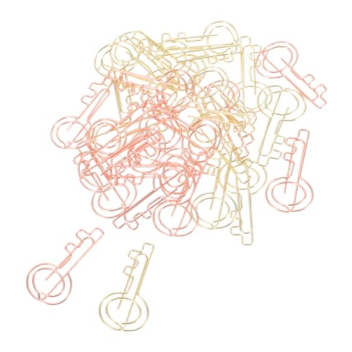 Homoyoyo 30 Stück Schlüssel-Büroklammer schicke Büroklammern Hochzeit Büroklammern Metalldokumentclips wichtige Büroklammern Kleine Papierklammern Papiermarkierungsklammern Memo-Clips Eisen von Homoyoyo