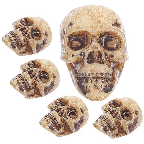 Homoyoyo 5 Stück Schädel-Verzierung Partyschädeldekorationen Geisterdekorationen Skelett- beängstigend Halloween Mini-Schädel-Ornament Mini-Totenkopffiguren Miniaturschädel Harz Homoyoyo 5 Stück Schädel-Verzierung Partyschädeldekorationen Geisterdekorationen Skelett- beängstigend Halloween Mini-Schädel-Ornament Mini-Totenkopffiguren Miniaturschädel Harz von Homoyoyo