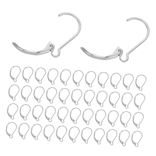 Homoyoyo 50 Stück Französische Lever Back Ohrhaken aus Hypoallergenem Edelstahl Sichere Verschluss-ohrringhaken für DIY Schmuckherstellung Komfortabel Hautfreundlich Vielseitig für Anhänger von Homoyoyo