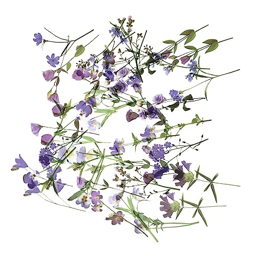 Homoyoyo 80 Blatt Floral Aufkleber Selbstklebende Pet Sticker für DIY Dekoration und Vielfältig für Notizbücher Scrapbooking Kalender und Homoyoyo 80 Blatt Floral Aufkleber Selbstklebende Pet Sticker für DIY Dekoration und Vielfältig für Notizbücher Scrapbooking Kalender und von Homoyoyo