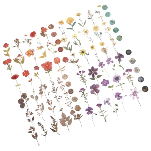 Homoyoyo Trockenblumen Aufkleber Teilig DIY Scrapbook Material Selbstklebend Retro Design Journal Dekoration Fotoalbum Bastelbedarf ohne Kleber Sicher und Langlebig für Handgemachte Karten von Homoyoyo
