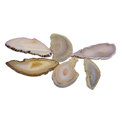 Homyl 6er Pack Natürliche Achatscheiben Achat Scheiben Edelstein Platte Mineralien Achate für Schmuckherstellung Dekoration Steine - Grau Homyl 6er Pack Natürliche Achatscheiben Achat Scheiben Edelstein Platte Mineralien Achate für Schmuckherstellung Dekoration Steine - Grau von Homyl