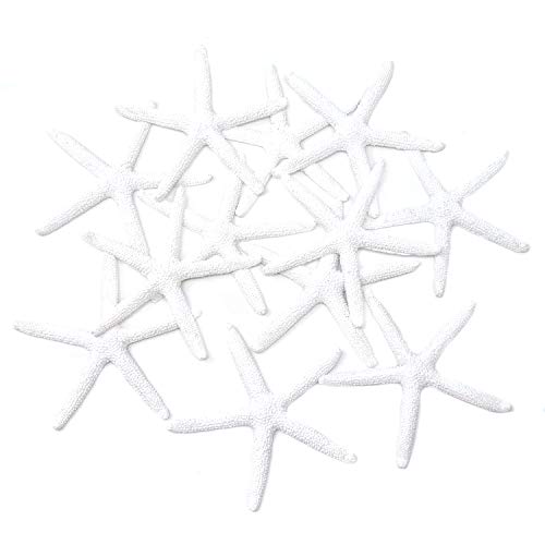 Honbay 12 Stück Harz Weiß Bleistift Finger Seestern Seestern für Zuhause Hochzeit Party Dekoration oder Basteln DIY Honbay 12 Stück Harz Weiß Bleistift Finger Seestern Seestern für Zuhause Hochzeit Party Dekoration oder Basteln DIY von Honbay