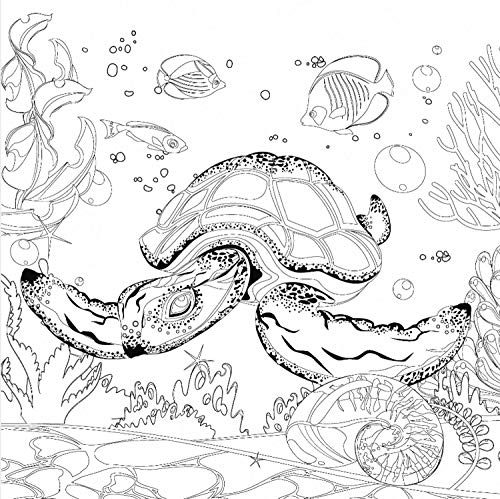 Honsell 12124 - Keilrahmen mit Wasserschildkröten Motiv, Format 30 x 30 cm, Vorgedrucktes Motiv zum Ausmalen mit Acryl-, Aquarell- und Ölfarben und Filz- und Farbstifte, Weiß Honsell 12124 - Keilrahmen mit Wasserschildkröten Motiv, Format 30 x 30 cm, Vorgedrucktes Motiv zum Ausmalen mit Acryl-, Aquarell- und Ölfarben und Filz- und Farbstifte, Weiß von Honsell