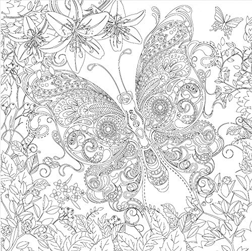 Honsell 12126 - Keilrahmen mit Schmetterling Motiv, Format 30 x 30 cm, Vorgedrucktes Motiv zum Ausmalen mit Acryl-, Aquarell- und Ölfarben und Filz- und Farbstifte von Honsell