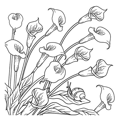 Honsell 12138 - Keilrahmen mit Calla Motiv, Format 30 x 30 cm, Vorgedrucktes Motiv zum Ausmalen mit Acryl-, Aquarell- und Ölfarben und Filz- und Farbstifte von Honsell