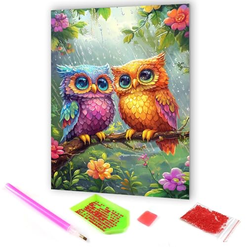 Hoobee 5D DIY Diamond Painting Eulen, Diamond Painting Bilder Tiere Vögel, Diamond Painting Erwachsene, Vollbohrer Stickerei Kreuzstich Kunst Handwerk für Zuhause Wanddekoration 30x40cm-01 von Hoobee