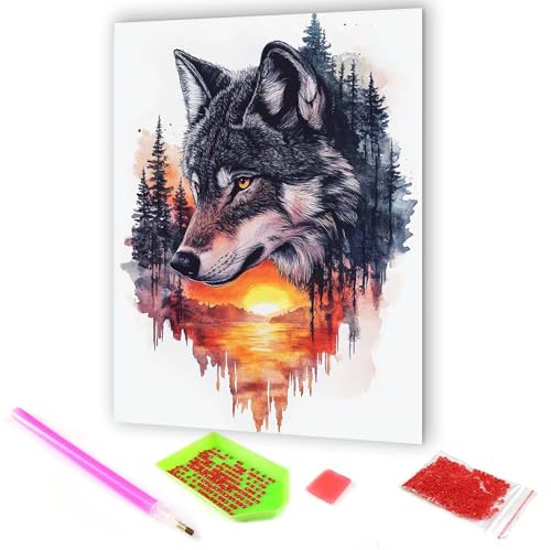 Hoobee 5D DIY Diamond Painting Wolf, Diamantmalerei Bilder Tier, Diamantmalerei Erwachsene, Vollbohrer Stickerei Kreuzstich Kunst Handwerk für Zuhause Wanddekoration 30x40cm von Hoobee