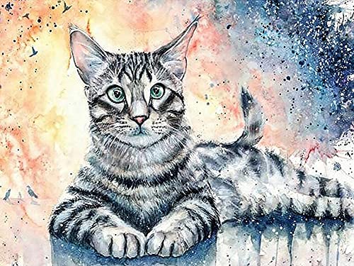 Hoobee 5D Diamond Painting DIY Set Katze, Diamond Painting Bilder Tier, Vollbohrer Stickerei Kreuzstich Kunst Handwerk für Zuhause Wanddekoration (30×40 cm) von Hoobee