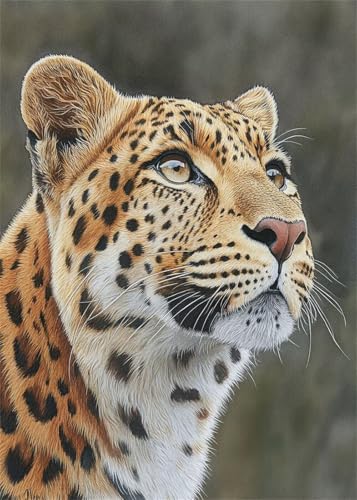 Diamond Painting Kinder Leopard,Diamant Painting Bilder Tier DIY Eckige Steine Diamant Kunst Malerei Kits,5D Mosaikherstellung Bastelset Erwachsene für Aesthetic Room Decor Geschenke 80x100 cm X4-987 Diamond Painting Kinder Leopard,Diamant Painting Bilder Tier DIY Eckige Steine Diamant Kunst Malerei Kits,5D Mosaikherstellung Bastelset Erwachsene für Aesthetic Room Decor Geschenke 80x100 cm X4-987 von Hooixaag