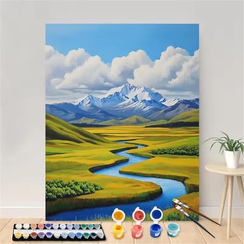 Gewundener Strom Malen Nach Zahlen Erwachsene, DIY Wolke Handgemalt Ölgemälde Leinwand Set mit Pinseln und Acrylfarben, malen nach zahlen erwachsene set für Home Deko 20x30cm(mit Rahmen) von Hoonjiin