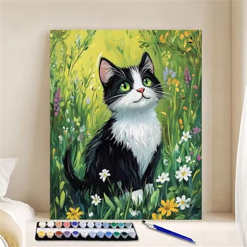 Hoonjiin Malen Nach Zahlen Erwachsene mit Rahmen Katzenblume, Paint by Numbers Adult DIY Ölgemälde Set, Prärie Acrylfarbe malen nach zahlen Leinwand set für Heimdekoration 8x12inch von Hoonjiin