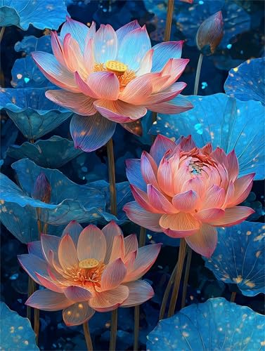 Hoonjiin Malen Nach Zahlen Erwachsene mit Rahmen Lotusblume, Paint by Numbers Adult DIY Ölgemälde Set, Sommer Acrylfarbe malen nach zahlen Leinwand set für Heimdekoration 20x26inch von Hoonjiin