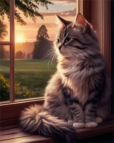 Hoonjiin Malen Nach Zahlen für Erwachsene ohne Rahmen, DIY Graue Katze Acrylfarbe Ölgemälde Set für erwachsene und anfänger, mit 3 - Pinseln malen nach zahlen Feld set für Wanddeko Geschenk 20x30cm Hoonjiin Malen Nach Zahlen für Erwachsene ohne Rahmen, DIY Graue Katze Acrylfarbe Ölgemälde Set für erwachsene und anfänger, mit 3 - Pinseln malen nach zahlen Feld set für Wanddeko Geschenk 20x30cm von Hoonjiin