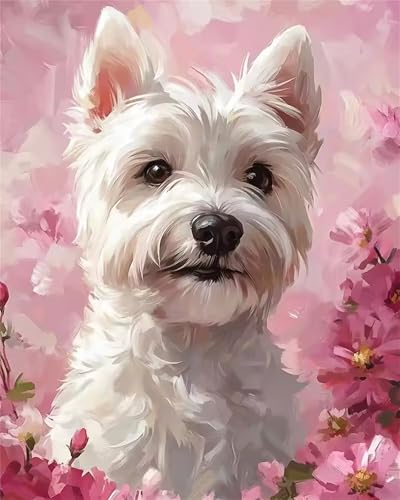 Hoonjiin Malen Nach Zahlen für Erwachsene ohne Rahmen, DIY Weißer Hund Acrylfarbe Ölgemälde Set für erwachsene und anfänger, mit 3 - Pinseln malen nach zahlen Blume set für Wanddeko Geschenk 20x30cm von Hoonjiin