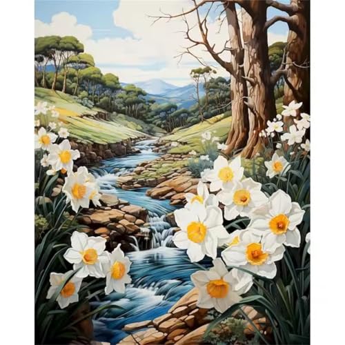 Hoonjiin Paint by Numbers Kits Narzisse DIY Handgemalt Ölgemälde Leinwand Kits,Anfänger Paint by Numbers Malen Nach Zahlen Erwachsene zur Heimdekoration,mit rahmen 30x40cm von Hoonjiin