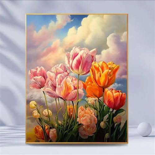Orangefarbene Tulpe Malen Nach Zahlen Erwachsene, DIY Wolke Handgemalt Ölgemälde Leinwand Set mit Pinseln und Acrylfarben, malen nach zahlen erwachsene set für Home Deko 20x30cm(ohne Rahmen) von Hoonjiin