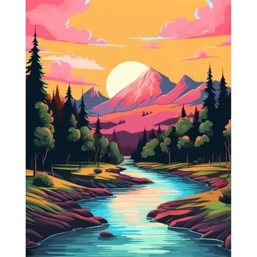 Orangefarbener Himmel Malen Nach Zahlen Erwachsene, DIY Wald Handgemalt Ölgemälde Leinwand Set mit Pinseln und Acrylfarben, malen nach zahlen erwachsene set für Home Deko 50x65cm(ohne Rahmen) von Hoonjiin