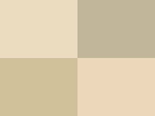 Hoooked Zpagetti T-Shirt-Jersey-Garn aus recycelter Baumwolle, 700 g, 120 m, Dunkelbeige von Hoooked