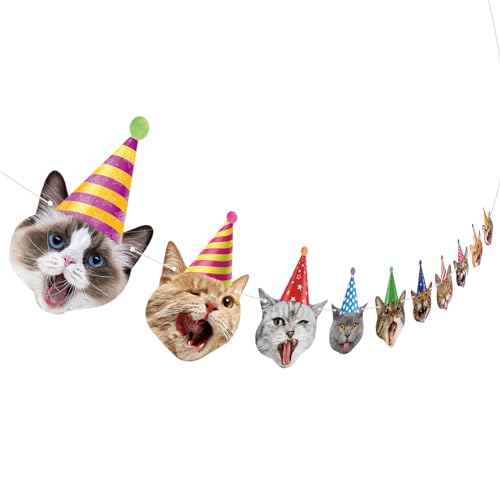 Hooqict Katzengeburtstagsbanner Geburtstagsparty-Dekorationen für Hintergrund Katze Happy Birthday Banner Girlande Schild für Mädchen Jungen Kinder 1. 2. 3. Partyzubehör zum Aufhängen Hooqict Katzengeburtstagsbanner Geburtstagsparty-Dekorationen für Hintergrund Katze Happy Birthday Banner Girlande Schild für Mädchen Jungen Kinder 1. 2. 3. Partyzubehör zum Aufhängen von Hooqict