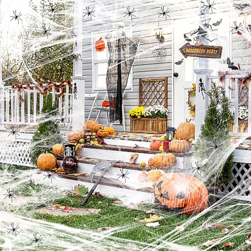 Spinnennetz Halloween, Halloween Deko Spinnennetz mit Realistisch Spinnen, Spinnenweben Deko Innen, Spider Web, Spinnennetz Outdoor für Tischdekoration, Außen, Garten, Spukhaus, Horrorparty -100g Spinnennetz Halloween, Halloween Deko Spinnennetz mit Realistisch Spinnen, Spinnenweben Deko Innen, Spider Web, Spinnennetz Outdoor für Tischdekoration, Außen, Garten, Spukhaus, Horrorparty -100g von Hopton