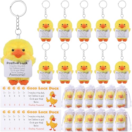 Hoteam 12 Stück Plüsch-Schlüsselanhänger, Geschenk mit positiven Karten, emotionale Geschenke für Partygeschenke, Ermutigung, Mitarbeiter-Wertschätzung (Ente) von Hoteam