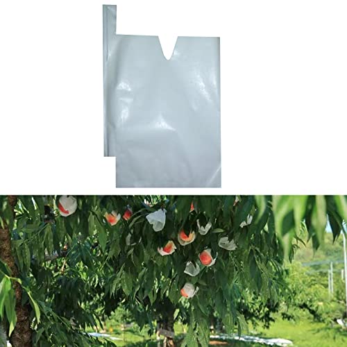 HouWanA Obstschutz-Papiertüten – 100 Stück, weiße Schutzhüllen, 15,7 x 19,6 cm, Obstgarten, Frost, Pflanzen (40,6 x 50,8 cm) von HouWanA