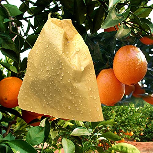 HouWanA Papiertüten für Obst, 100 Stück, weiß, 16 x 19,8 cm, Obstbeutel für Obstbäume, Obstgarten, Bäume, Frost, Pflanzen (40 x 50 cm) von HouWanA
