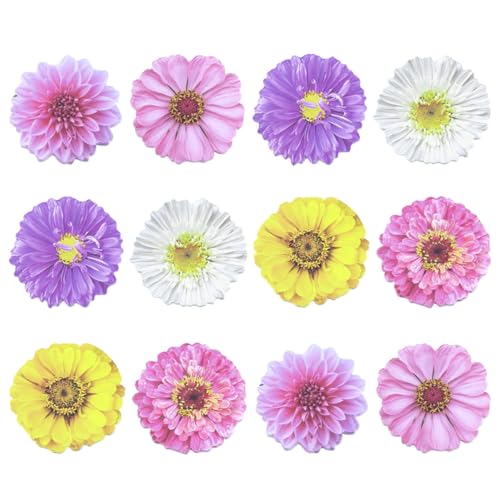 Housoutil 1 Satz Blumen Haftnotizen Bunte Memo Notizen Für Büro Und Schule Selbstklebende Notizen Praktische Erinnerungszettel Gemischte Designs 12 Stück von Housoutil