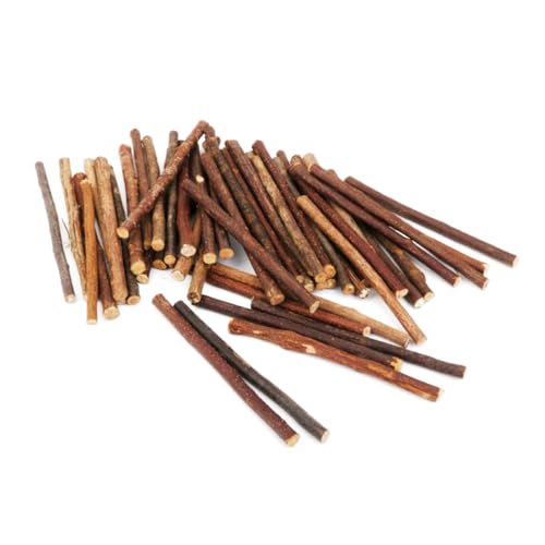 Housoutil 100 Stück Holzstäbe Durchmesser Natürliche Diy Bastelstäbe für Projekte und Fotodekorationen Malerei und Dekoupage Housoutil 100 Stück Holzstäbe Durchmesser Natürliche Diy Bastelstäbe für Projekte und Fotodekorationen Malerei und Dekoupage von Housoutil