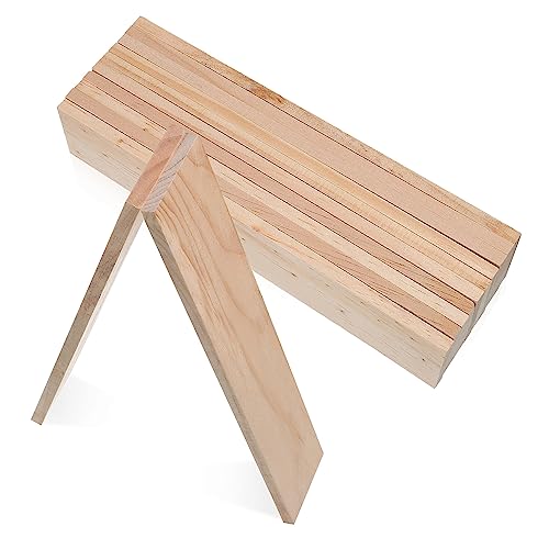Housoutil 12 Stück Rechteckige Unbehandelte Holzplatten für Bastelarbeiten zum Malen DIY Projekte Vielseitig Einsetzbar Holzscheiben für Kunsthandwerk Housoutil 12 Stück Rechteckige Unbehandelte Holzplatten für Bastelarbeiten zum Malen DIY Projekte Vielseitig Einsetzbar Holzscheiben für Kunsthandwerk von Housoutil