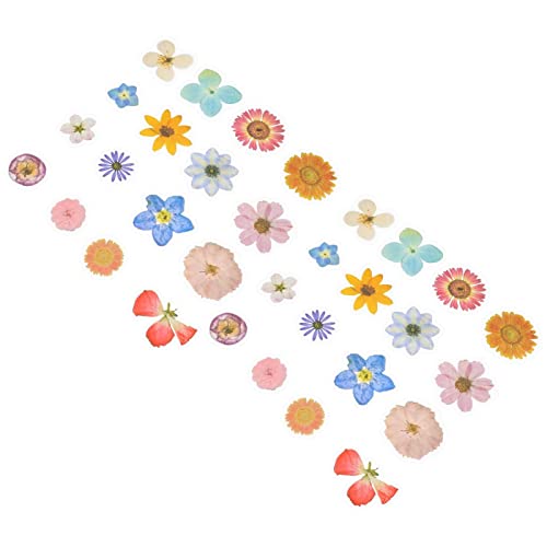 Housoutil 2 Sätze Kreative Pflanzenaufkleber Pack Pet Sticker für Scrapbooking Diy Dekoration Journal und Fotoalben Einfach Ablösbar und Housoutil 2 Sätze Kreative Pflanzenaufkleber Pack Pet Sticker für Scrapbooking Diy Dekoration Journal und Fotoalben Einfach Ablösbar und von Housoutil