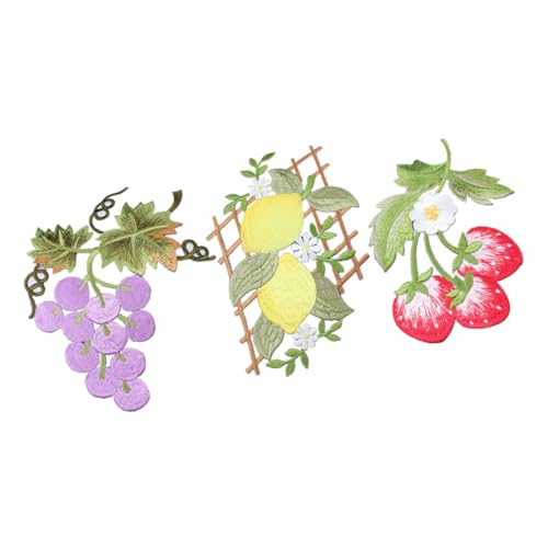 Housoutil 3 Stück Obst-Stickerei-Patch Flecken gestickte Aufnäher Tuch Reparatur von Daunenjacken hüpfen aufbügler für jacken aufnäher für jacke DIY-Applikation Flicken für Jacken Stoff von Housoutil