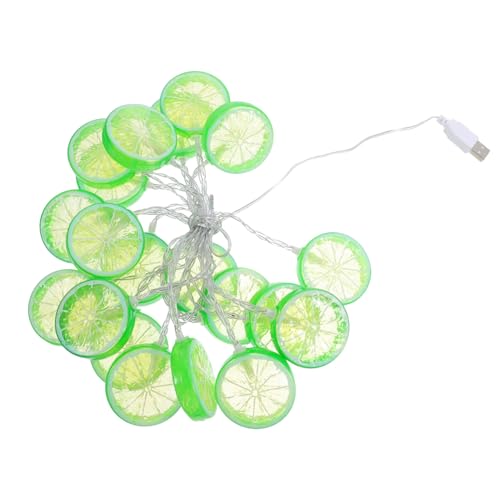 Housoutil LED Lichterkette mit USB Kleine LED Limettenscheiben Wiederaufladbar für Schlafzimmer und Stilvolle Raumbeleuchtung für Valentinstag und Hochzeiten von Housoutil