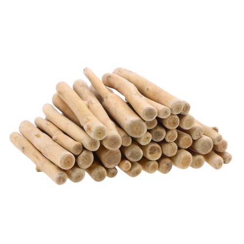 Housoutil Pack Unbearbeitete Schwemmholzstäbe Natürliche Holzdekoration für Diy Bastelprojekte und Kreative Ornamente Housoutil Pack Unbearbeitete Schwemmholzstäbe Natürliche Holzdekoration für Diy Bastelprojekte und Kreative Ornamente von Housoutil