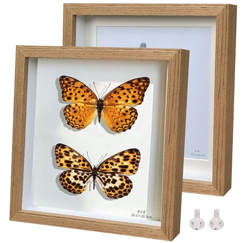 3D Dunkles Holz Bilderrahmen quadratisch 20x20cm Objektrahmen 2er-Pack Schattenbox Fotorahmen Hergestellt aus Massivholz und Echtglas Tiefe 1,5 cm 3D Dunkles Holz Bilderrahmen quadratisch 20x20cm Objektrahmen 2er-Pack Schattenbox Fotorahmen Hergestellt aus Massivholz und Echtglas Tiefe 1,5 cm von Houstimi