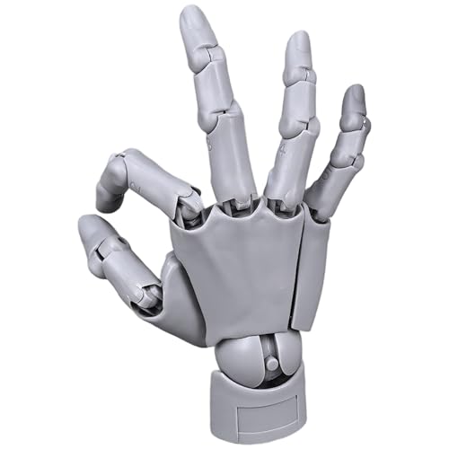 Gelenkhand, flexibles Handmodell mit beweglichem Gelenk und Basis, DIY-freundliches PVC-Modell zum Zeichnen, Malen, Skizzieren, graues Handmodell zum Zeichnen, Schaufensterpuppenhand, Gli Gelenkhand, flexibles Handmodell mit beweglichem Gelenk und Basis, DIY-freundliches PVC-Modell zum Zeichnen, Malen, Skizzieren, graues Handmodell zum Zeichnen, Schaufensterpuppenhand, Gli von HoveeLuty
