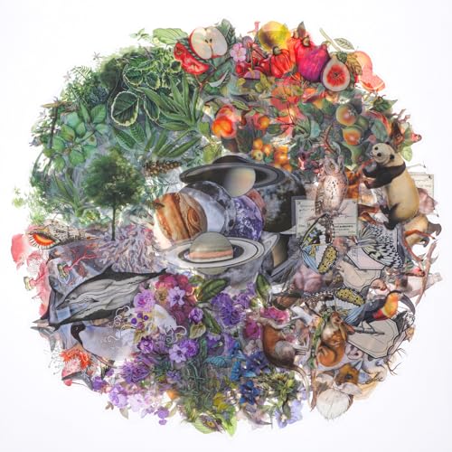 240 Stück Scrapbook Stickers vorgeschnittene Aufkleber mit Naturmotiven Pflanzen Aesthetic Für Fotoalbum Transparente Wasserfeste Aufklebers Selbstklebende Aufklebers Zubehör Für Diy Tagebücher 240 Stück Scrapbook Stickers vorgeschnittene Aufkleber mit Naturmotiven Pflanzen Aesthetic Für Fotoalbum Transparente Wasserfeste Aufklebers Selbstklebende Aufklebers Zubehör Für Diy Tagebücher von Hpmjz