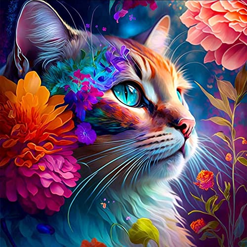 Huacan Diamond Painting Katze Diamant Paintings Bilder Malerei Voll Runde Stickerei für Kinder Erwachsene Haus Wand Zimmer Dekor 30x40cm von Huacan