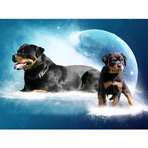 Huemny DIY 5D Diamond Painting Set, 40x30cm Naturlandschaft Rottweiler Dog Diamond Painting Kits für Erwachsene Strassstickerei Diamond Art von Huemny